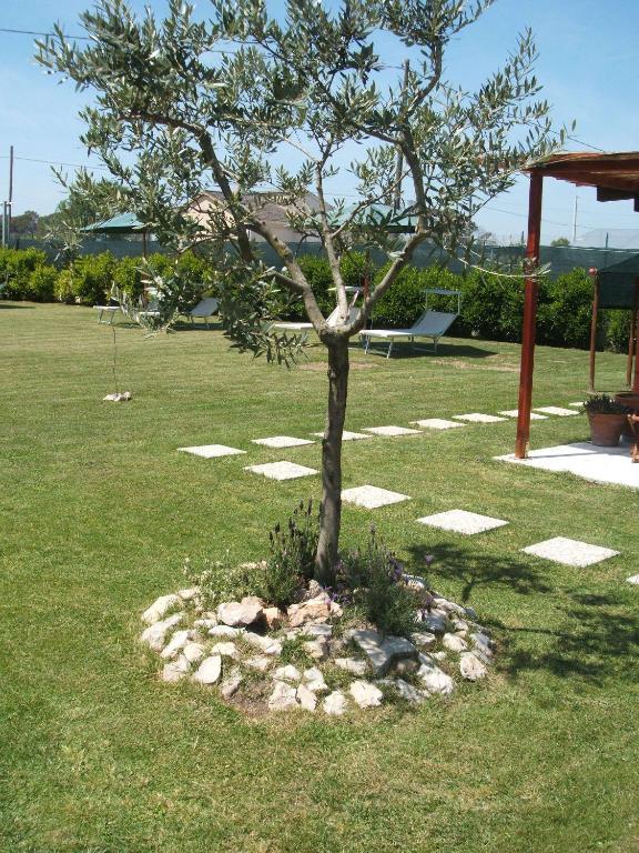 Borgo Montenero La Locanda Country House מראה חיצוני תמונה