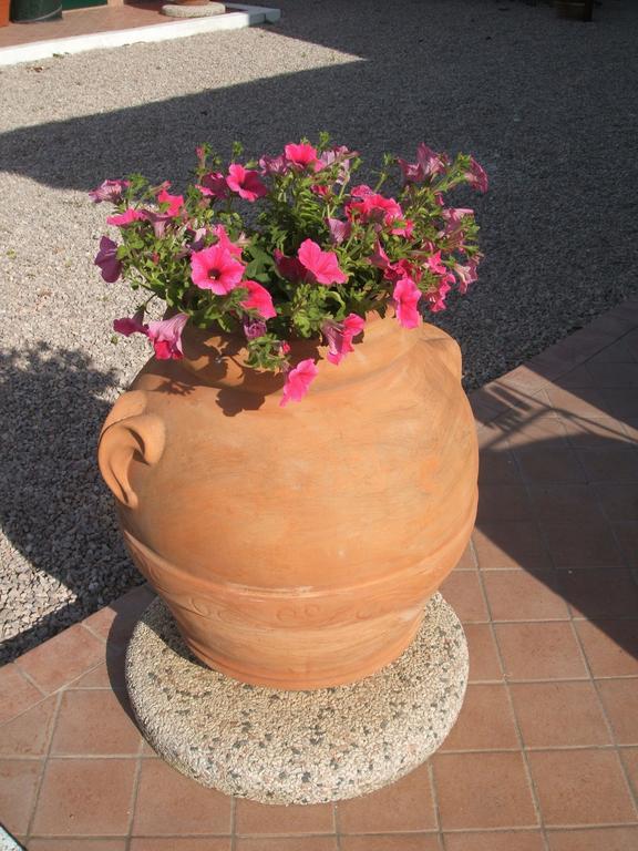 Borgo Montenero La Locanda Country House מראה חיצוני תמונה